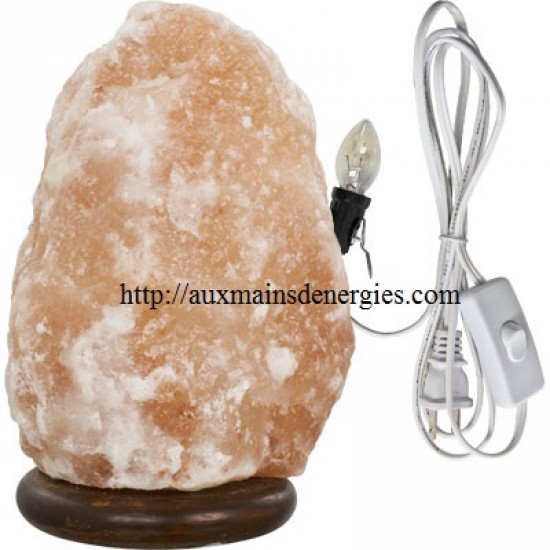 Sublime lampe de sel Himalaya, inclus cordon électrique et lumière 7W 